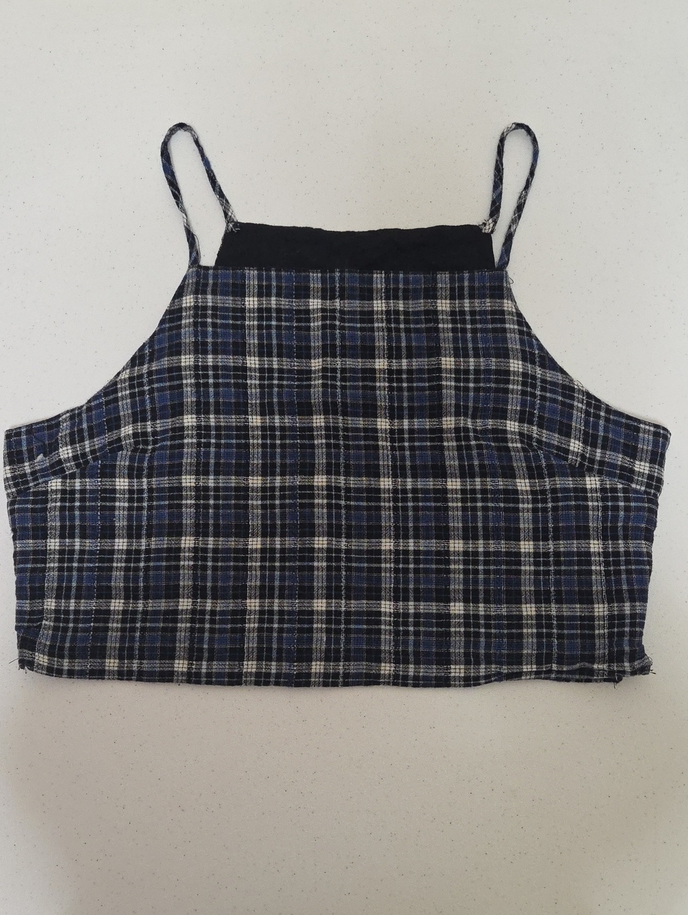 American Eagle Outfitters Blue Plaid Cropped Spaghetti Strap Top